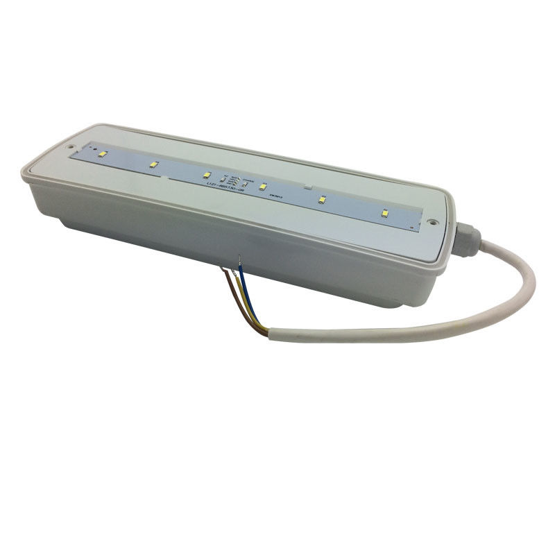 ไฟฉุกเฉินกันน้ำสำหรับผนัง ชาร์จไฟได้ IP65 พลาสติก Ni-Cd พร้อมแบตเตอรี่สำรอง 3 ชั่วโมง L116N-E