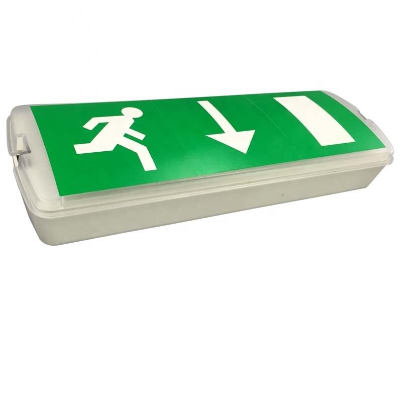 ไฟฉุกเฉินแบบติดผนังและเพดาน 3W ไฟฉุกเฉินแบบติดผนังและเพดาน 3W ไฟฉุกเฉินแบบติดผนังและเพดาน 3W ไฟฉุกเฉินแบบติดผนังและเพดาน