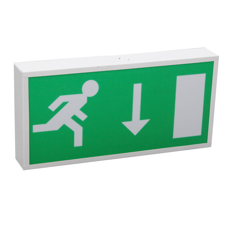 Running Man Ni-Cd แบตเตอรี่สํารอง LED ไฟฉายทางออกฉุกเฉิน 5730 SMD LED และการรับประกัน 3 ปี