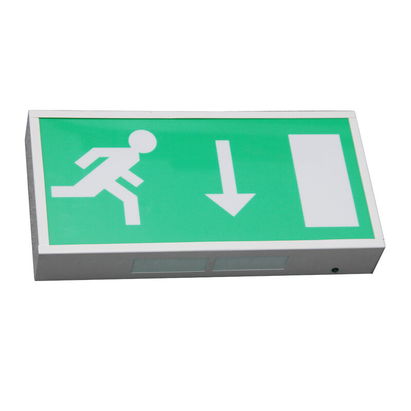 Running Man Ni-Cd แบตเตอรี่สํารอง LED ไฟฉายทางออกฉุกเฉิน 5730 SMD LED และการรับประกัน 3 ปี